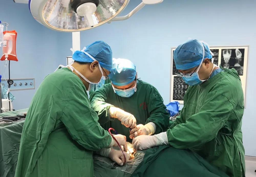 1611534576531095276.jpg 1611534576531095276.jpg