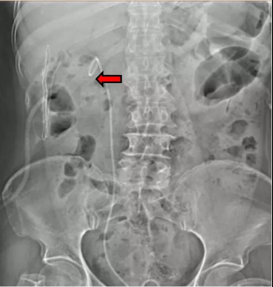 1629275822838057355.jpg 1629275822838057355.jpg