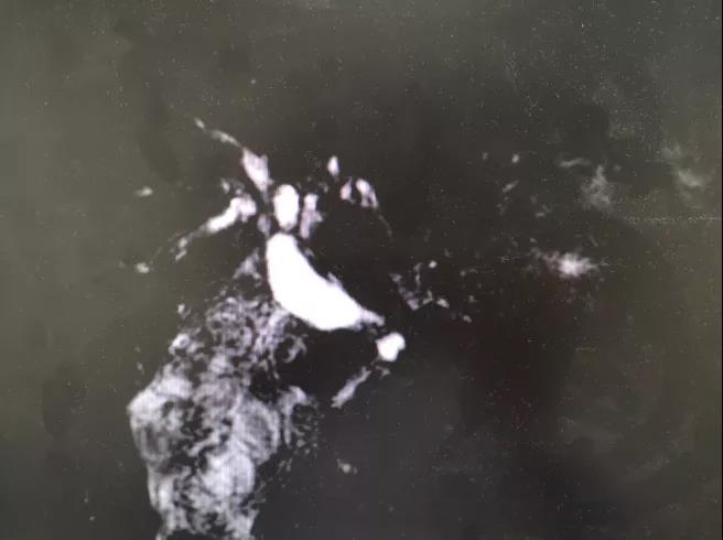 1633567249821060377.jpg 1633567249821060377.jpg