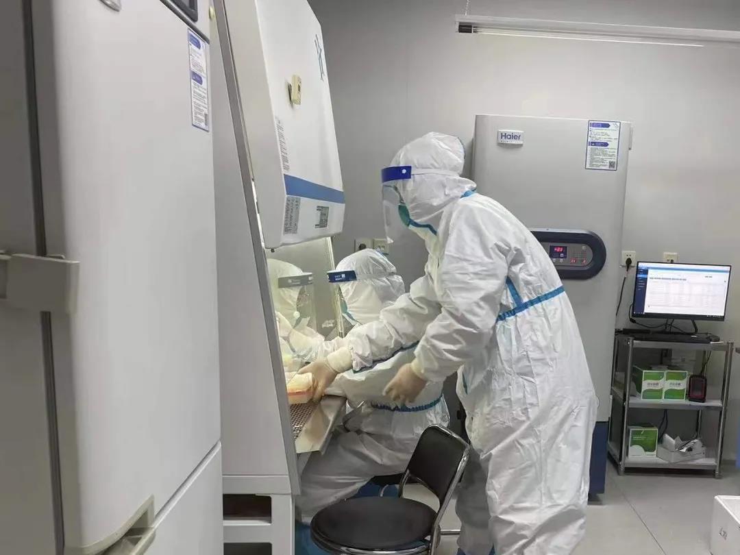 1644452820608090431.jpg 1644452820608090431.jpg