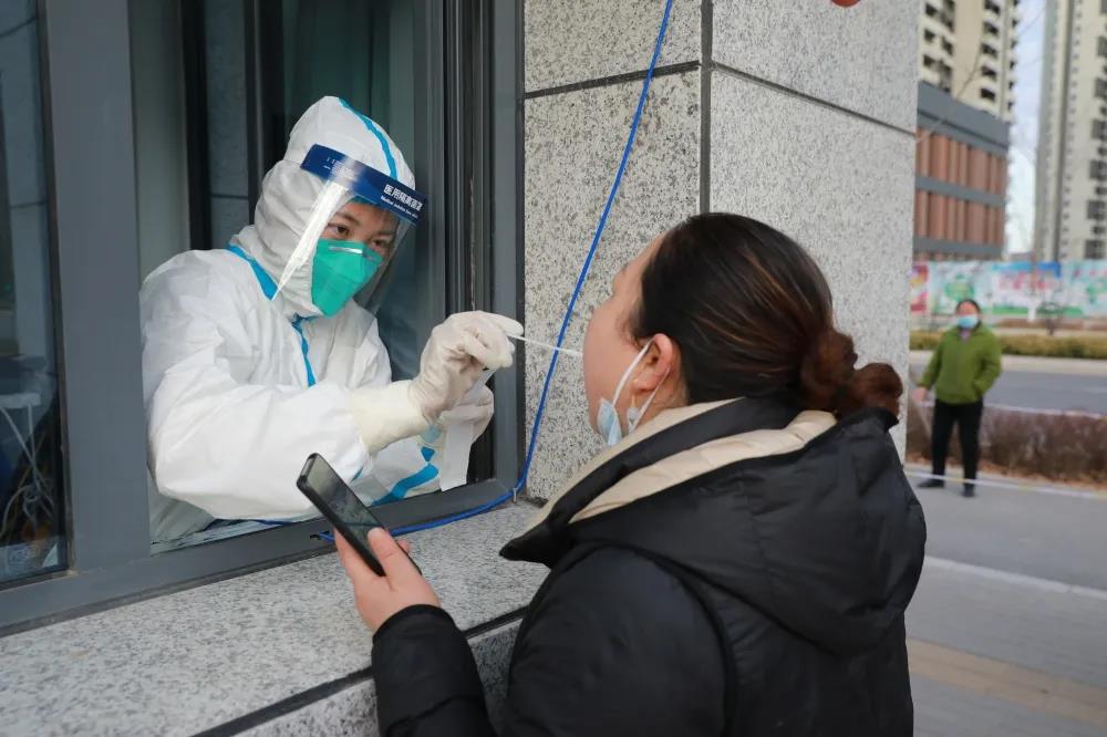 1644456010533045568.jpg 1644456010533045568.jpg