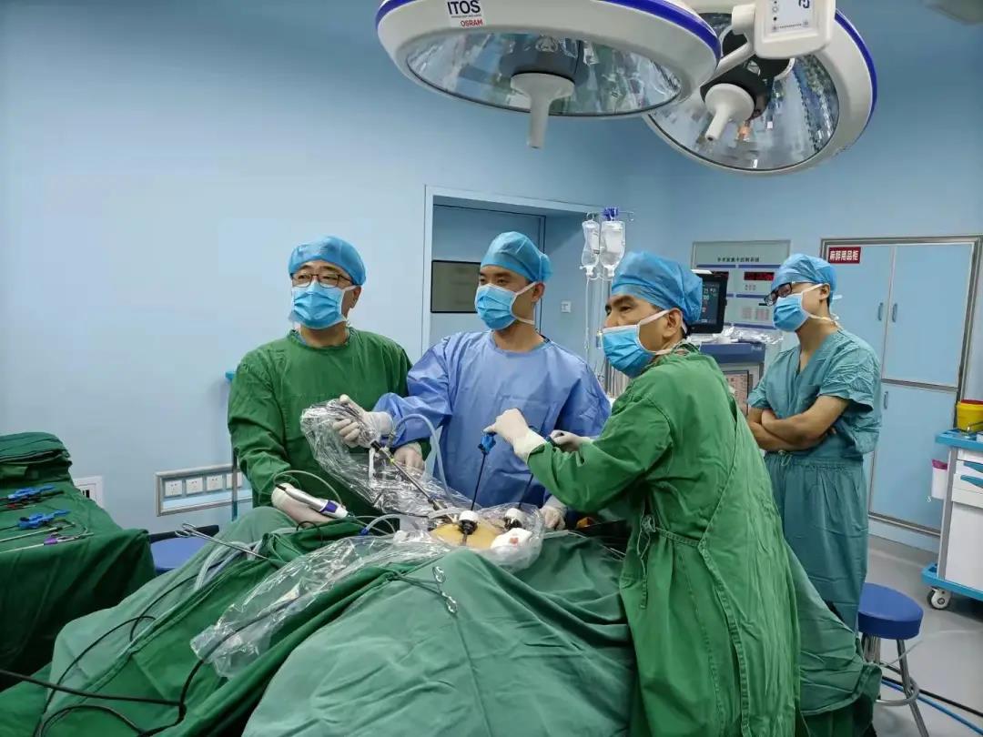 1644462317483026762.jpg 1644462317483026762.jpg