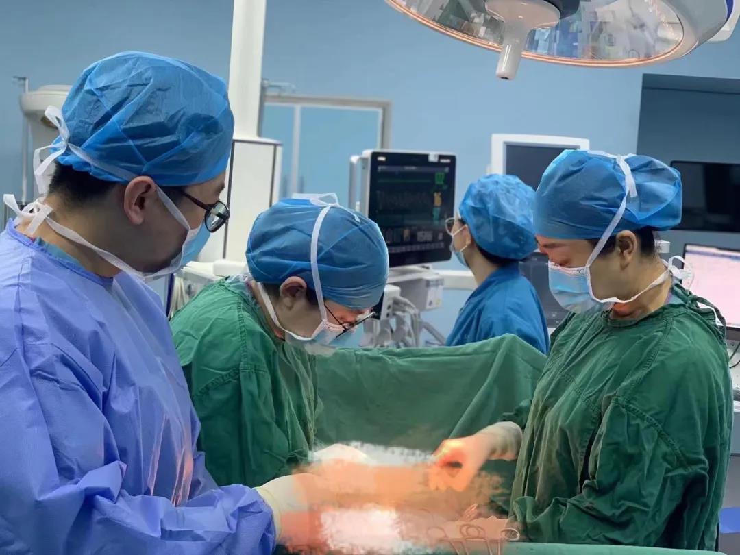 1644474236762029475.jpg 1644474236762029475.jpg