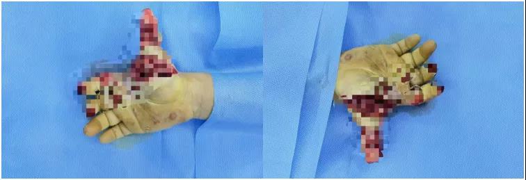 1644474293129089575.jpg 1644474293129089575.jpg