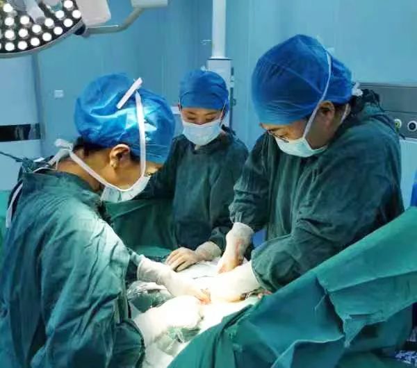 1662080672848099942.jpg 1662080672848099942.jpg