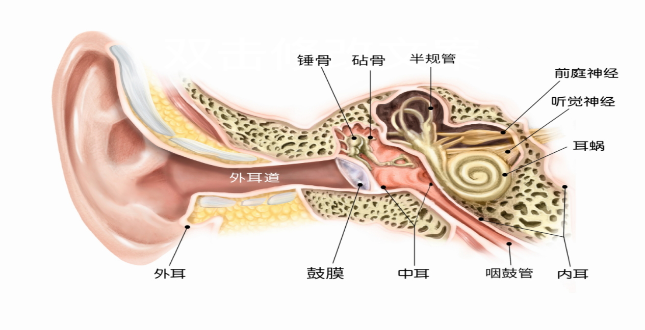 1673915465225070812.png 1673915465225070812.png