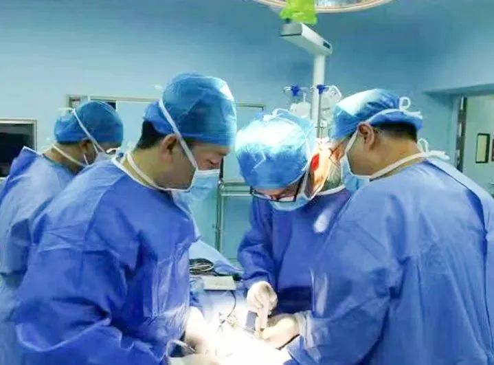 1679619666551046386.jpg 1679619666551046386.jpg