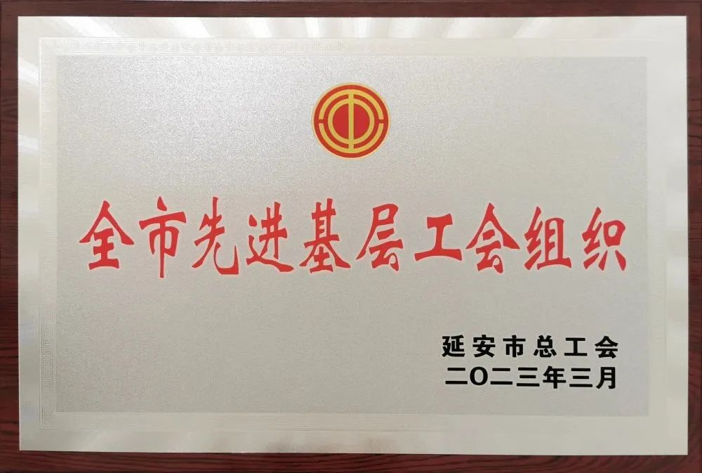 1681257939134060290.jpg 1681257939134060290.jpg