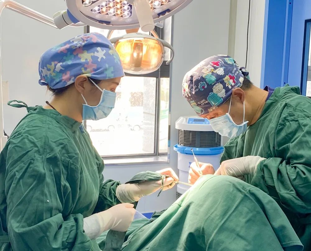 1687930382577033673.jpg 1687930382577033673.jpg