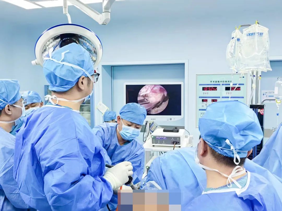 1690935926902008209.jpg 1690935926902008209.jpg