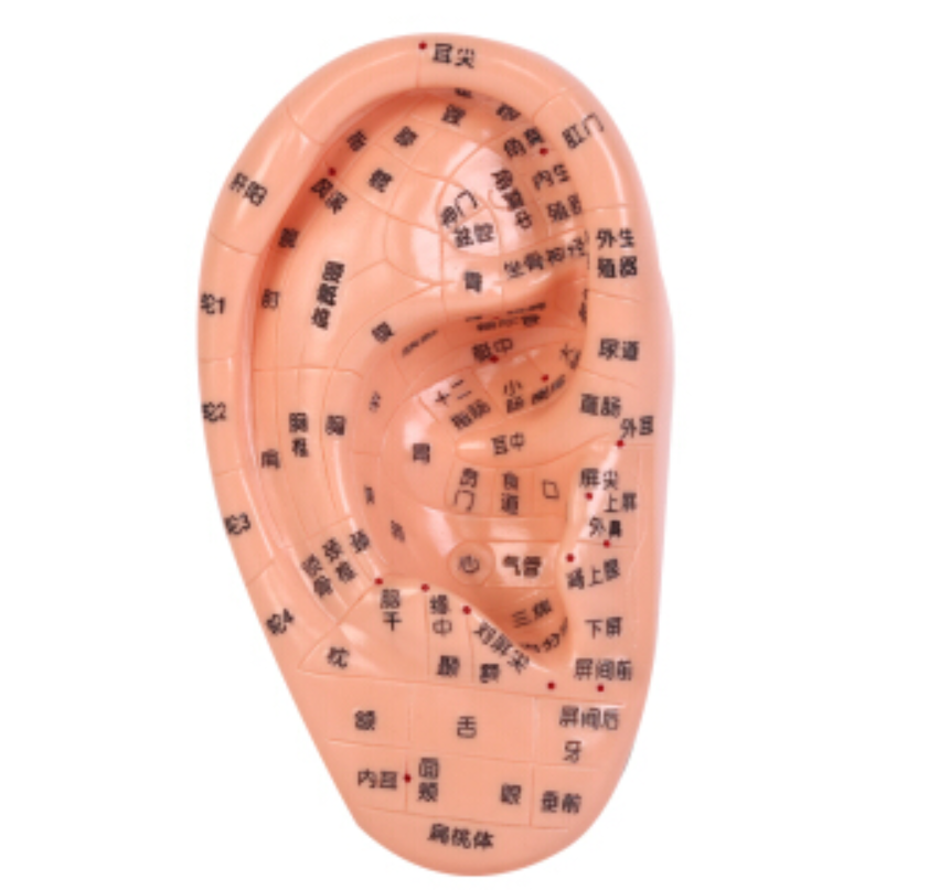 1591060285831093735.png image.png