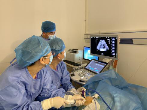 1647247689016037114.png 1.png