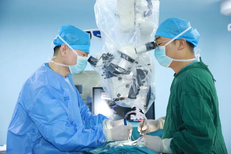 1686534937968069689.jpg 1686534937968069689.jpg